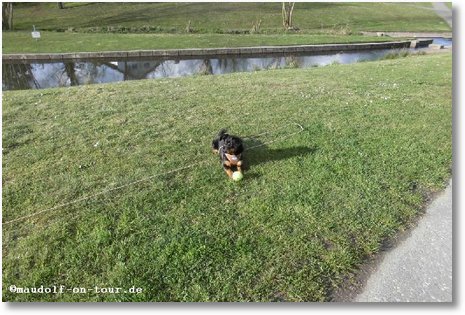 2016-04-07 Spaziergang Kelly 1